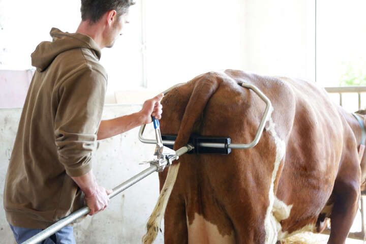 Rheintechnik HK Geburtshelfer mit Mechanik 2020